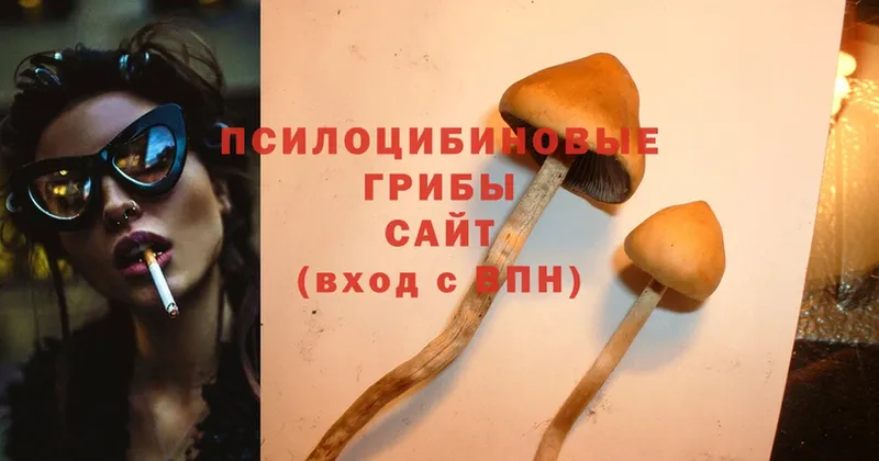 Галлюциногенные грибы MAGIC MUSHROOMS  МЕГА tor  Богородск 